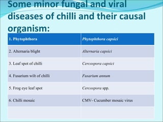 Major diseases of chilli