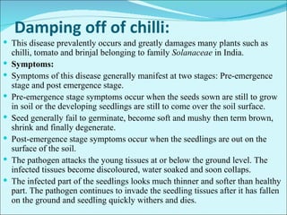 Major diseases of chilli