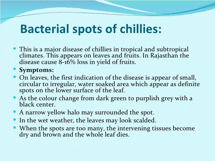 Major diseases of chilli