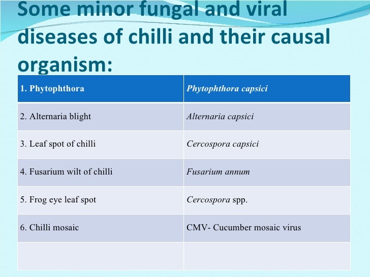 Major diseases of chilli
