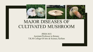 MAJOR DISEASES OF
CULTIVATED MUSHROOM
JISHA M.S
Assistant Professor in Botany
T.K.M College Of Arts & Science, Kollam
 