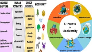 major drivers of biodiversity change.pptx