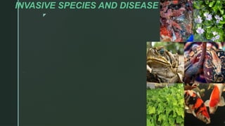 major drivers of biodiversity change.pptx