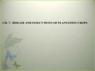 1
CH- 7. DISEASE AND INSECT PESTS OF PLANTATION CROPS
 