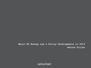Major EU Energy Law & Policy Developments in 2013
Raluca Dirjan
 