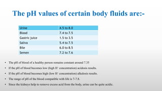 The pH values of certain body fluids are:-
• The pH of blood of a healthy person remains constant around 7.35
• If the pH of blood becomes low (high H⁺ concentration) acidosis results.
• If the pH of blood becomes high (low H⁺ concentration) alkalosis results.
• The range of pH of the blood compatible with life is 7-7.8.
• Since the kidneys help to remove excess acid from the body, urine can be quite acidic.
 