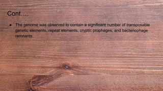 Cont….
● The genome was observed to contain a significant number of transposable
genetic elements, repeat elements, cryptic prophages, and bacteriophage
remnants.
 