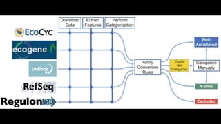 Cont….
● There are online resources that centralize information about E.coli such as
EcoCyc, RegulonDB and EcoGene.
 