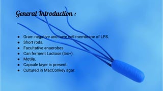 General Introduction
General Introduction :
● Gram negative and have cell membrane of LPS.
● Short rods.
● Facultative anaerobes.
● Can ferment Lactose (lac+).
● Motile.
● Capsule layer is present.
● Cultured in MacConkey agar.
 