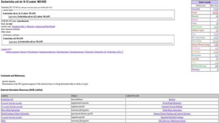E.coli K-12 MG1655
● The predominant facultative anaerobe resident in the human colon is the
Gram negative motile bacillus Escherichia coli. E.coli colonies the infant gut
within hours of birth.
● However, E.coli has a dichotomous existence; while the majority of E.coli
strains exist within the mammalian intestinal tract as harmless commensals,
paradoxically several evolutionary lineages have deviated from this harmless
lifestyle to become pathogens.
● Those strains causing intestinal infections can be divided into six separate
and major categories of pathogens viz enteroaggregative E.coli(EAEC),
enteroinvasive (EIEC), enterohemorrhagic E.coli (EHEC) and differs adhering
E.coli(DAEC).
 