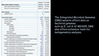 The Integrated Microbial Genomes
(IMG) website offers data on
bacterial genomes
such as E. coli K-12 MG1655. IMG
also offers extensive tools for
metagenomics analyses.
 