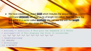 ● We have created the object ecoli which includes the sequence. The
command str(ecoli) will show us its of length 4.6 million. Next we place the
sequence in a vector called ecoliseq. We can see this with the length
command, and can also obtain the GC content:
 