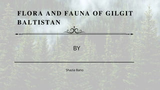 FLORA AND FAUNA OF GILGIT
BALTISTAN
BY
Shazia Bano
 