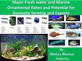 Major Fresh water and Marine
Ornamental fishes and Potential for
Domestic farming and Exports
By:
Bhukya Bhaskar
Fisheries
 