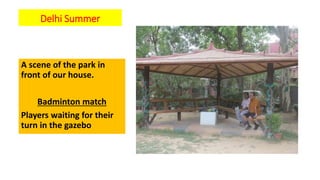 Delhi Summer
A scene of the park in
front of our house.
Badminton match
Players waiting for their
turn in the gazebo
 