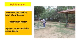 Delhi Summer
A scene of the park in
front of our house.
Badminton match
A player arrives with his
pet : a beagle
 