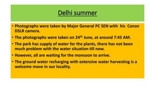 Delhi summer
• Photographs were taken by Major General PC SEN with his Canon
DSLR camera.
• The photographs were taken on 24th June, at around 7:45 AM.
• The park has supply of water for the plants, there has not been
much problem with the water situation till now.
• However, all are waiting for the monsoon to arrive.
• The ground water recharging with extensive water harvesting is a
welcome move in our locality.
 