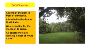 Delhi Summer
A scene of the park in
front of our house.
It is unbelievably hot in
North India
We are waiting for the
monsoon to arrive.
Air conditioners are
working almost 18 hours
a day !!
 