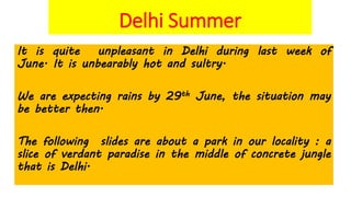 Delhi Summer
It is quite unpleasant in Delhi during last week of
June. It is unbearably hot and sultry.
We are expecting rains by 29th June, the situation may
be better then.
The following slides are about a park in our locality : a
slice of verdant paradise in the middle of concrete jungle
that is Delhi.
 