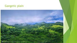 Gangetic plain
 