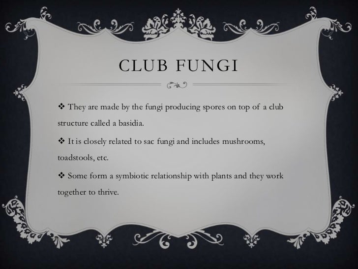 Characteristics And Major Groups For Fungi Characteristics And Major Groups For Fungi