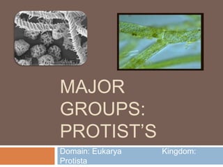 MAJOR
GROUPS:
PROTIST’S
Domain: Eukarya   Kingdom:
Protista
 