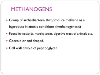 METHANOGENS
 Group of archaebacteria that produce methane as a
byproduct in anoxic conditions (methanogenesis)
 Found in wetlands, marshy areas, digestive tract of animals etc.
 Coccoid or rod shaped.
 Cell wall devoid of peptidoglycan.
 