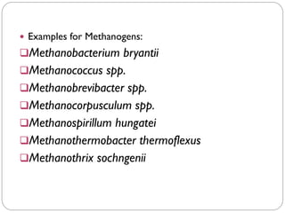  Examples for Methanogens:
❑Methanobacterium bryantii
❑Methanococcus spp.
❑Methanobrevibacter spp.
❑Methanocorpusculum spp.
❑Methanospirillum hungatei
❑Methanothermobacter thermoflexus
❑Methanothrix sochngenii
 
