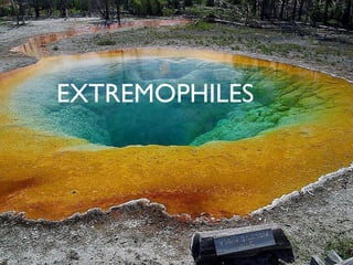 EXTREMOPHILES
 