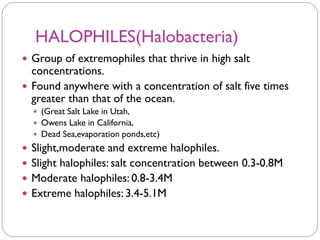 HALOPHILES(Halobacteria)
 Group of extremophiles that thrive in high salt
concentrations.
 Found anywhere with a concentration of salt five times
greater than that of the ocean.
 (Great Salt Lake in Utah,
 Owens Lake in California,
 Dead Sea,evaporation ponds,etc)
 Slight,moderate and extreme halophiles.
 Slight halophiles: salt concentration between 0.3-0.8M
 Moderate halophiles: 0.8-3.4M
 Extreme halophiles: 3.4-5.1M
 