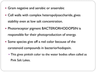  Gram negative and aerobic or anaerobic
 Cell walls with complex heteropolysaccharide, gives
stability even at low salt concentration.
 Photoreceptor pigment BACTERIORHODOPSIN is
responsible for their photoproduction of energy.
 Some species give off a red color because of the
carotenoid compounds in bacteriorhodopsin.
 This gives pinkish color to the water bodies often called as
Pink Salt Lakes.
 