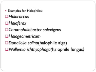  Examples for Halophiles:
❑Halococcus
❑Haloferax
❑Chromohalobacter salexigens
❑Halogeometricum
❑Dunaliella salina(halophile alga)
❑Wallemia ichthyophaga(halophile fungus)
 