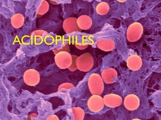 ACIDOPHILES
 