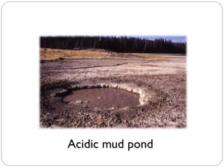 Acidic mud pond
 