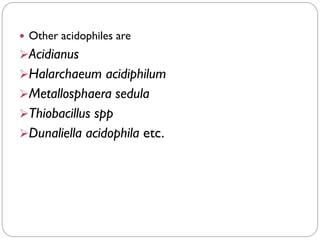  Other acidophiles are
➢Acidianus
➢Halarchaeum acidiphilum
➢Metallosphaera sedula
➢Thiobacillus spp
➢Dunaliella acidophila etc.
 