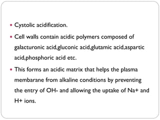  Cystolic acidification.
 Cell walls contain acidic polymers composed of
galacturonic acid,gluconic acid,glutamic acid,aspartic
acid,phosphoric acid etc.
 This forms an acidic matrix that helps the plasma
membarane from alkaline conditions by preventing
the entry of OH- and allowing the uptake of Na+ and
H+ ions.
 