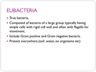 EUBACTERIA
 True bacteria.
 Composed of bacteria of a large group typically having
simple cells with rigid cell wall and often with flagella for
movement.
 Include Gram positive and Gram negative bacteria.
 Present everywhere.(soil ,water, on organisms etc)
 