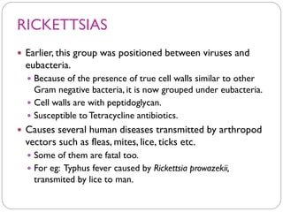 RICKETTSIAS
 Earlier, this group was positioned between viruses and
eubacteria.
 Because of the presence of true cell walls similar to other
Gram negative bacteria, it is now grouped under eubacteria.
 Cell walls are with peptidoglycan.
 Susceptible to Tetracycline antibiotics.
 Causes several human diseases transmitted by arthropod
vectors such as fleas, mites, lice, ticks etc.
 Some of them are fatal too.
 For eg: Typhus fever caused by Rickettsia prowazekii,
transmited by lice to man.
 
