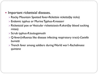 Important rickettsial diseases.
➢ Rocky Mountain Spotted fever-Rickettsia rickettsi(by ticks)
➢ Endemic typhus or Murine Typhus-R.mooseri
➢ Rickettsial pox orVesicular rickettsiosis-R.akari(by blood sucking
mites)
➢ Scrub typhus-R.tsutsugamushi
➢ Q-fever(influenza like disease infecting respiratory tract)-Coxiella
burnetti
➢ Trench fever among soldiers during World war1-Rochalimaea
quintana
 