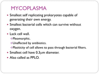 MYCOPLASMA
 Smallest self replicating prokaryotes capable of
generating their own energy.
 Smallest bacterial cells which can survive without
oxygen.
 Lack cell wall.
❖Pleomorphic.
❖Unaffected by antibiotics.
❖Plasiticity of cell allows to pass through bacterial filters.
 Smallest cell have 0.3m diameter.
 Also called as PPLO.
 