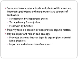  Some are harmless to animals and plants,while some are
important pathogens and many others are sources of
antibiotics.
▪ Streptomycin-by Streptomyces griseus.
▪ Tetracycline-by S.aureofaciens.
▪ Neomycin-by S.fradiae
 Majority feed on protein or non protein organic matter.
 Play an important role in soil ecology.
• Produces enzymes that can degrade organic plant material,
lignin, chitin etc.
• Important in the formation of compost.
 