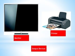 Output Devices
Monitor
Printer