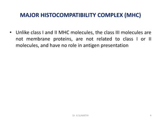 Major histocompatibility complex