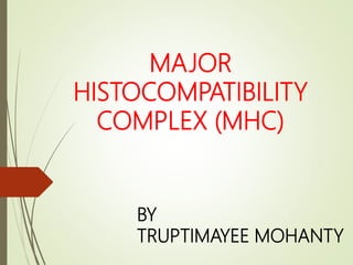 MAJOR
HISTOCOMPATIBILITY
COMPLEX (MHC)
BY
TRUPTIMAYEE MOHANTY
 