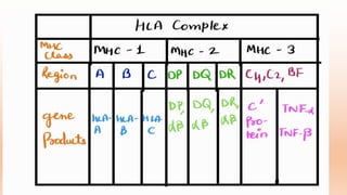 MAJOR HISTOCOMPATIBILITY COMPLEX by Pranzly.ppt