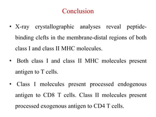 Conclusion
• X-ray crystallographic analyses reveal peptide-
binding clefts in the membrane-distal regions of both
class I and class II MHC molecules.
• Both class I and class II MHC molecules present
antigen to T cells.
• Class I molecules present processed endogenous
antigen to CD8 T cells. Class II molecules present
processed exogenous antigen to CD4 T cells.
 