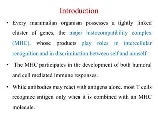 Introduction
• Every mammalian organism possesses a tightly linked
cluster of genes, the major histocompatibility complex
(MHC), whose products play roles in intercellular
recognition and in discrimination between self and nonself.
• The MHC participates in the development of both humoral
and cell mediated immune responses.
• While antibodies may react with antigens alone, most T cells
recognize antigen only when it is combined with an MHC
molecule.
 