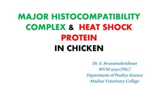 MAJOR HISTOCOMPATIBILITY
COMPLEX & HEAT SHOCK
PROTEIN
IN CHICKEN
Dr.S.Sivaramakrishnan
MVM15032(PSC)
DepartmentofPoultryScience
MadrasVeterinaryCollege
 