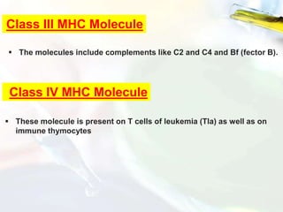 Class III MHC Molecule
 The molecules include complements like C2 and C4 and Bf (fector B).
Class IV MHC Molecule
 These molecule is present on T cells of leukemia (Tla) as well as on
immune thymocytes
 