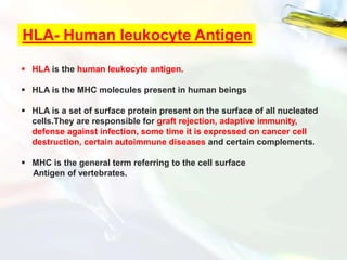 HLA- Human leukocyte Antigen
 HLA is the human leukocyte antigen.
 HLA is the MHC molecules present in human beings
 HLA is a set of surface protein present on the surface of all nucleated
cells.They are responsible for graft rejection, adaptive immunity,
defense against infection, some time it is expressed on cancer cell
destruction, certain autoimmune diseases and certain complements.
 MHC is the general term referring to the cell surface
Antigen of vertebrates.
 